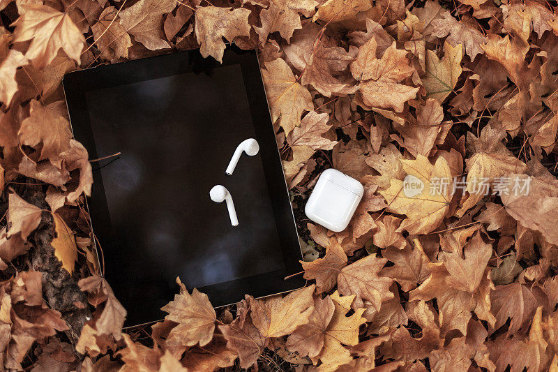 白色耳机/耳机和黑色平板电脑(垫)在黄叶的背景。秋天/秋天的心情。秋乐，有声，读书。以上的观点。